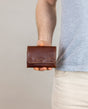Lutz model